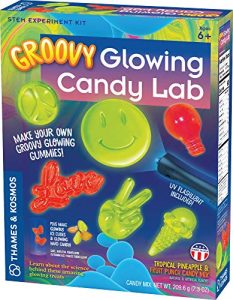 Ebt Eligible Toys Amazon