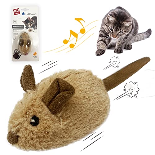 Electronic Cat Toys Amazon