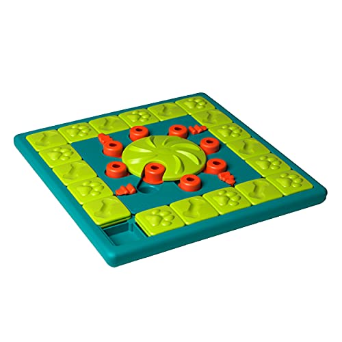 Hard Puzzle Toys for Dogs