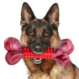 Hardest Chew Toys for Dogs