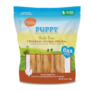 Healthy Chew Toys for Puppies