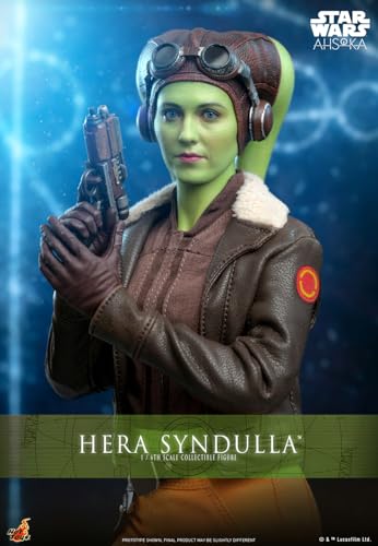 Hot Toys 1/6 Scale