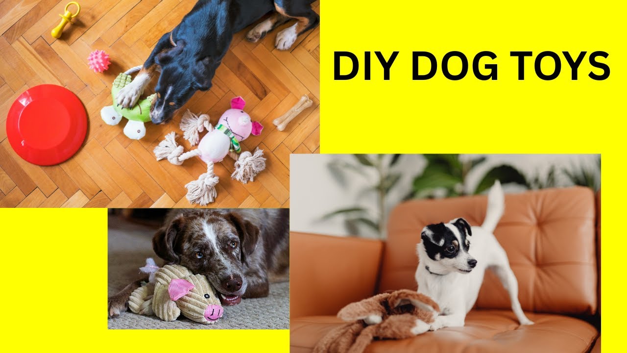 How Do You Make a Diy Dog Toys