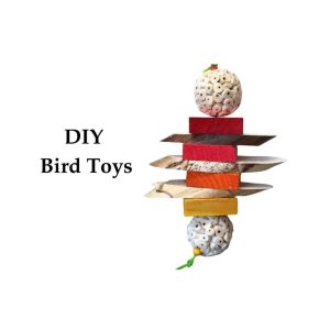 How to Make Bird Toys Diy