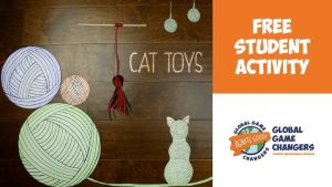 How to Make Cat Toys Diy