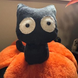 How to Make Couple Cat Plush Toys Diy Tutorial
