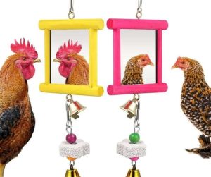 How to Make Diy Chicken Toys