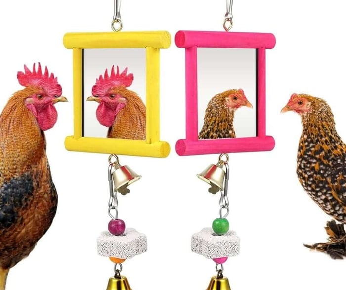How to Make Diy Chicken Toys