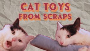 How to Make Diy Kitten Toys