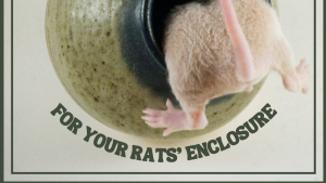 How to Make Diy Rat Toys