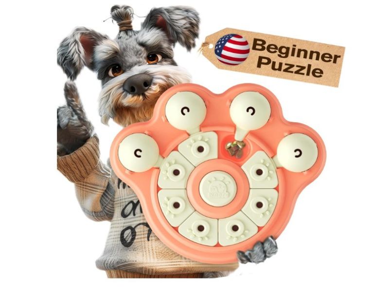 How to Teach Dog to Use Puzzle Toy