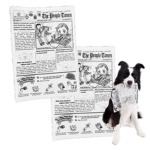 Images of Toy Dogs