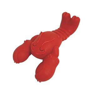 Indestructible Dog Toys for Small Dogs