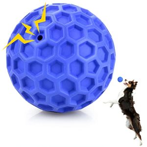 Indestructible Outdoor Dog Toys