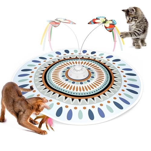 Interactive Cat Toys near Me