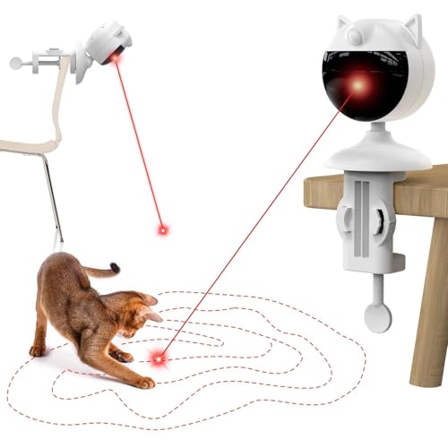 Interactive Cat Toys Nearby