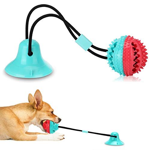 Interactive Toys for Dogs Amazon