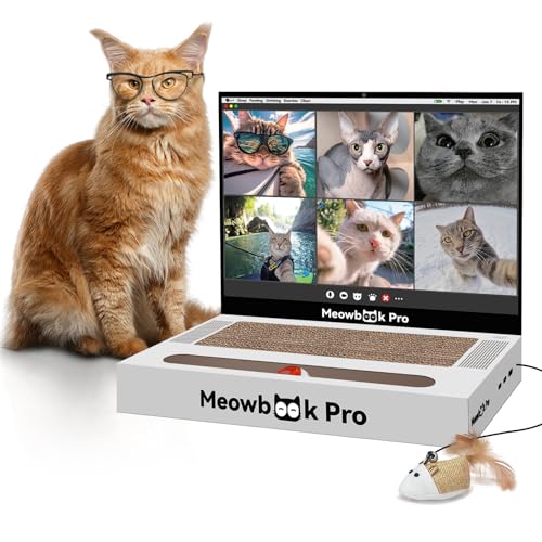 Keyboard Cat the Toy