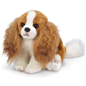 King Charles Toy Dog