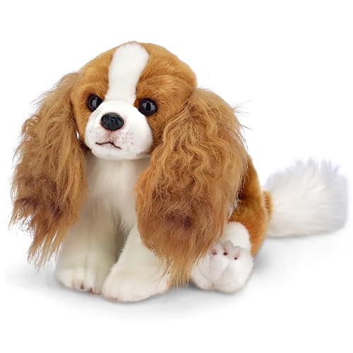 King Charles Toy Dog