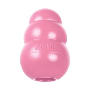 Kong Chew Toys Puppy