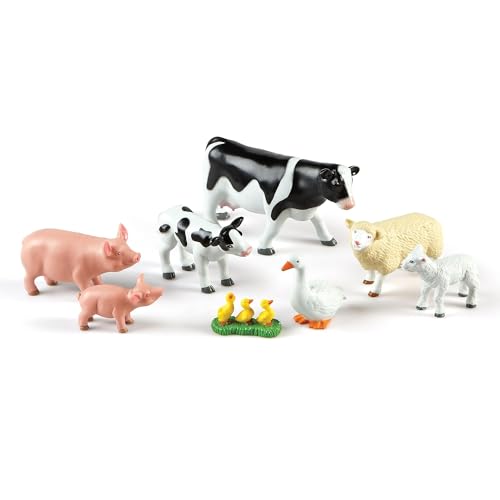 Learning Express Toys Omaha