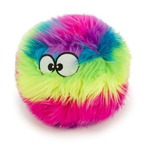 Long Haired Toy Dog