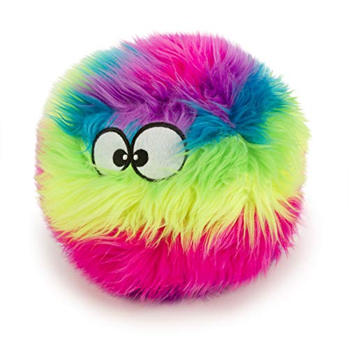 Long Haired Toy Dog