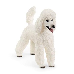 Miniature And Toy Poodle