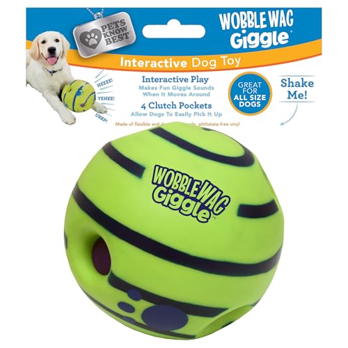 Most Entertaining Dog Toys