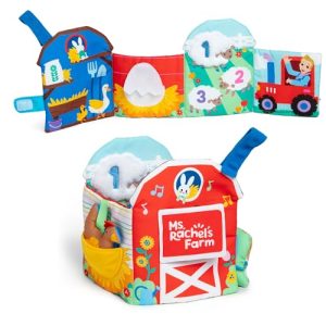 Ms Rachel Barn Toy