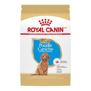 Raza De Perro Poodle Toy