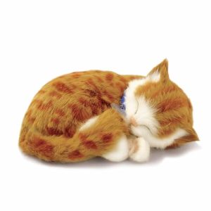 Real Life Cat Toy