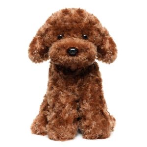 Red Toy Poodle Puppies for Sale