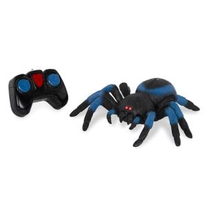 Remote Control Toys for Kids