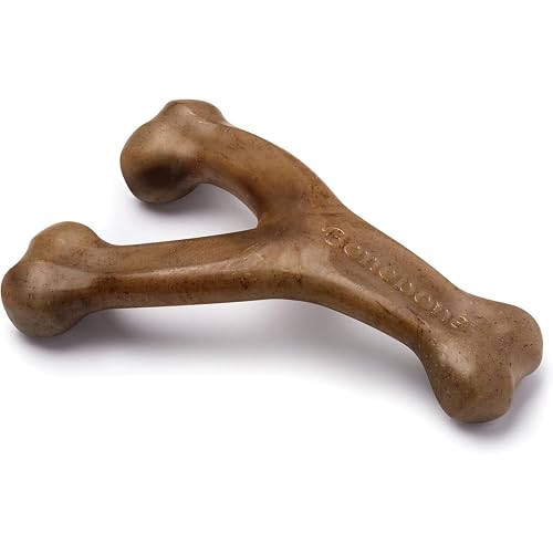 Safest Dog Chew Toys