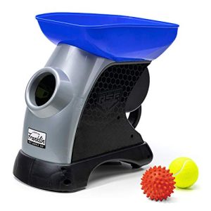 Self Throwing Dog Toy