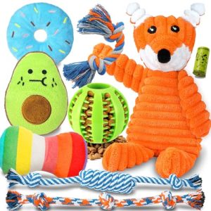 Set of Dog Toys