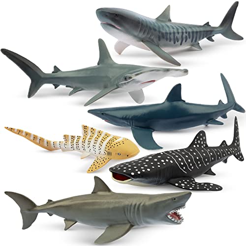 Shark Toys near Me