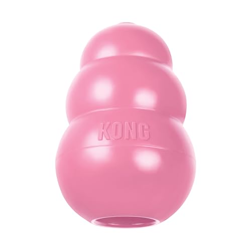 Small Dog Kong Toy