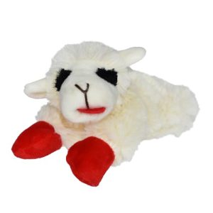 Small Dog Toys Amazon