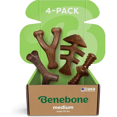 Strongest Chew Toys for Dogs