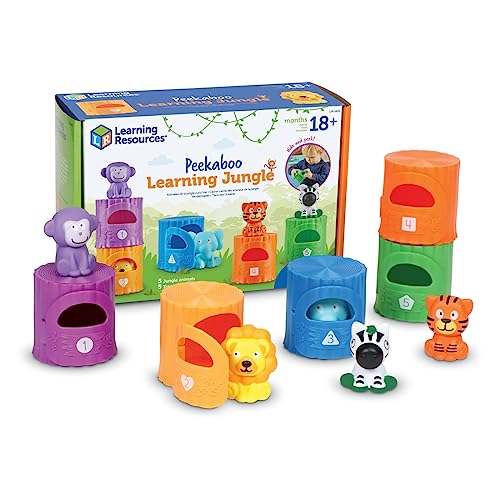 The Learning Experience Toys