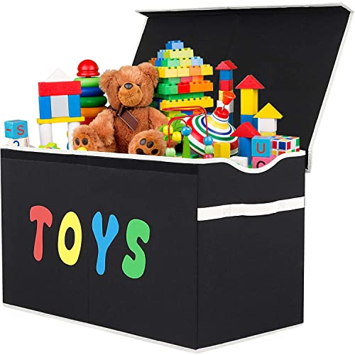 Toy Box And Toy Chest