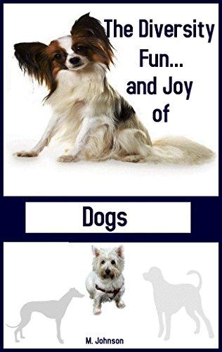 Toy Breeds That Dont Shed