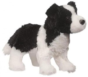 Toy Collies for Sale