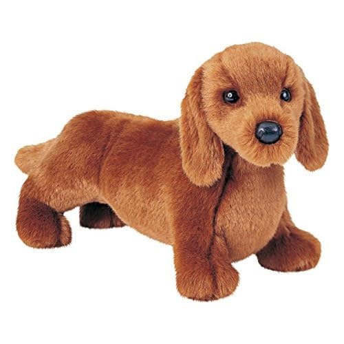 Toy Dachshund for Adoption