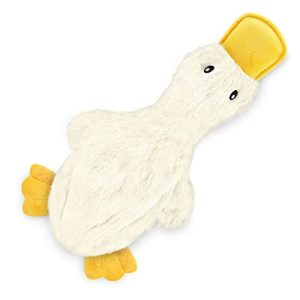 Toy Doodles for Sale
