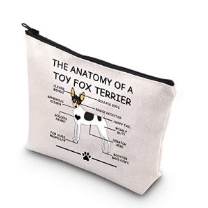 Toy Fox Terrier Size