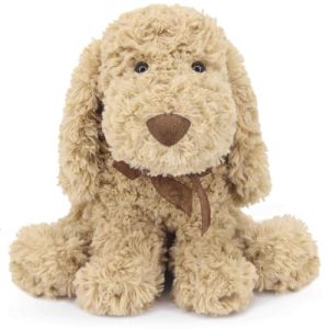 Toy Goldendoodle near Me